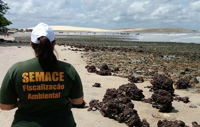 Fiscal da Semace visto de costas observa a praia da Vila de Jericoacoara