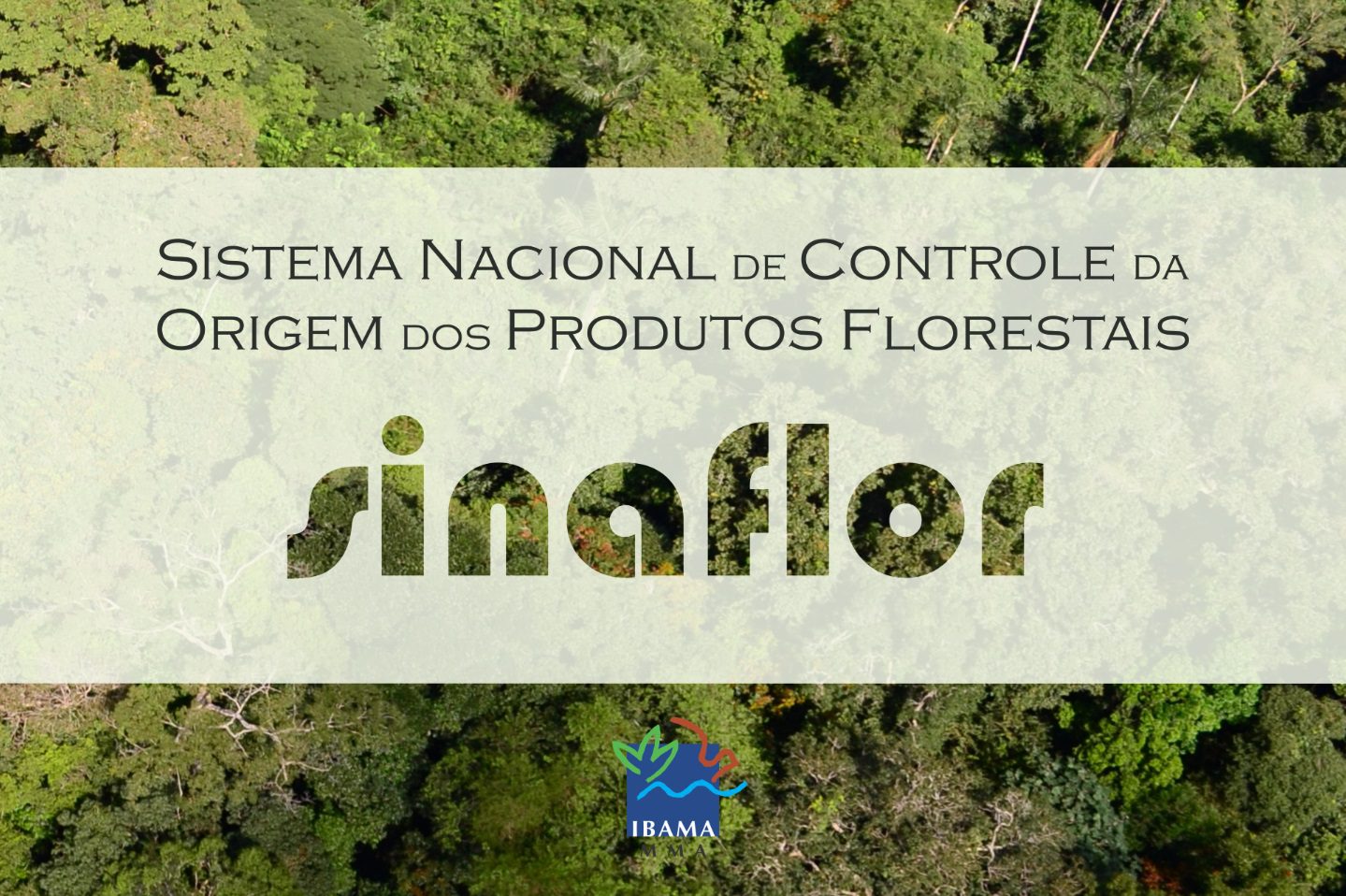 Arte do Sinaflor. Ao fundo, uma floresta vista de cima. Um faixa branca acima apresenta o seguinte texto: Sistema Nacional de Controle da Origem dos Produtos Florestais. Sinaflor
