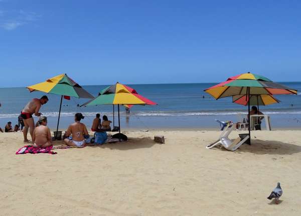 Banhistas sob sombrinhas na praia