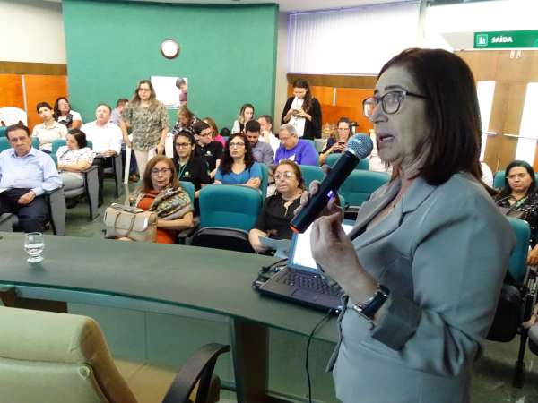 Conselheiros acompanham apresentação do Plano Emergencial de Balneabilidade durante sessão do Coema