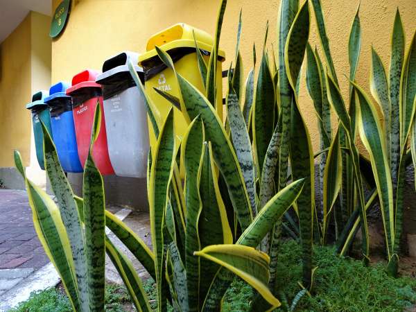 Coletores da coleta seletiva de resíduos recicláveis instalados na Semace