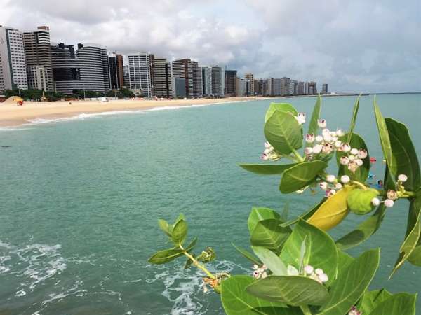 Praia do Meireles