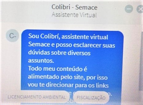 Reprodução da tela do atendente virtual Colibri