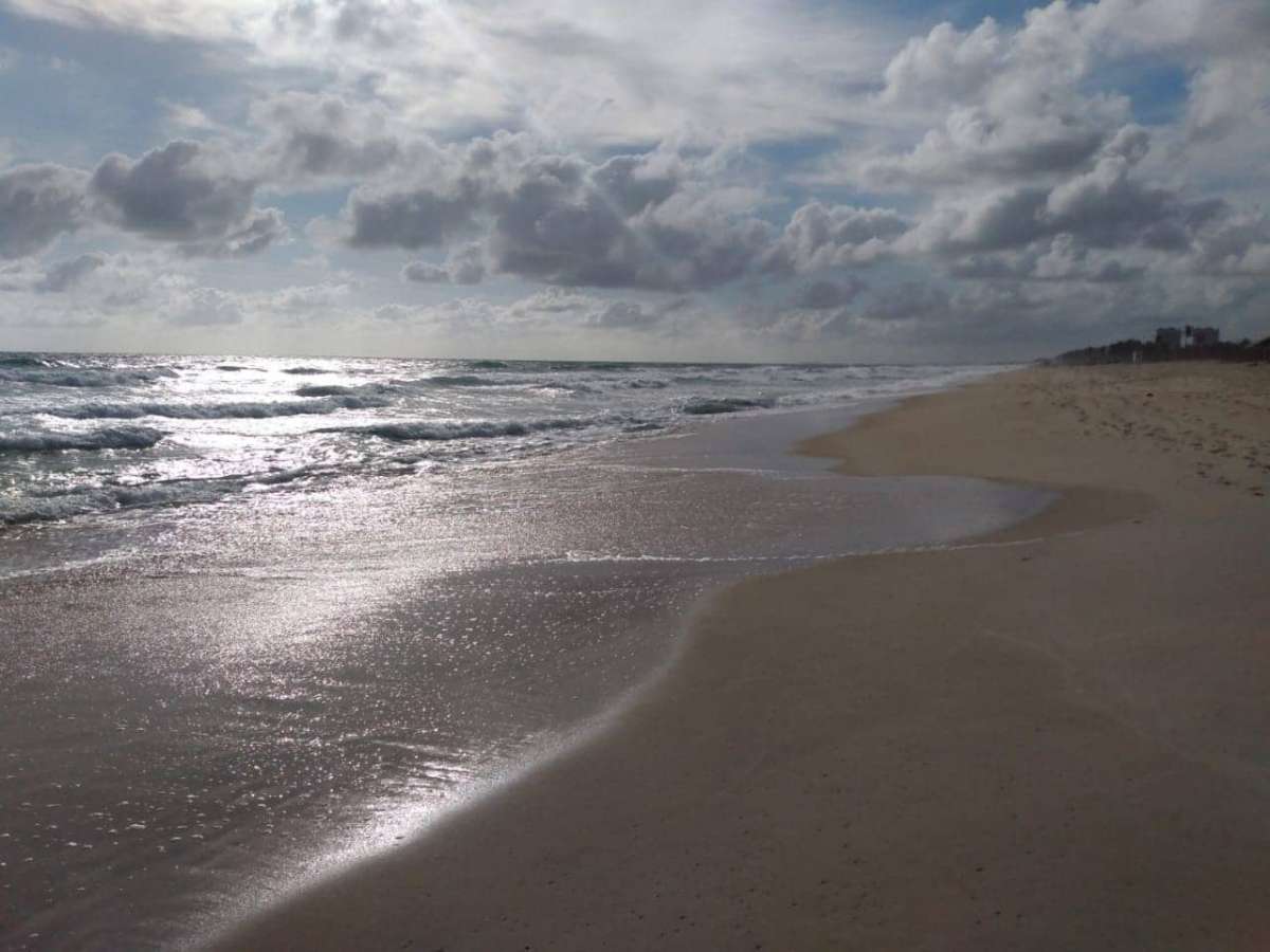 19 praias estão próprias para banho em Fortaleza