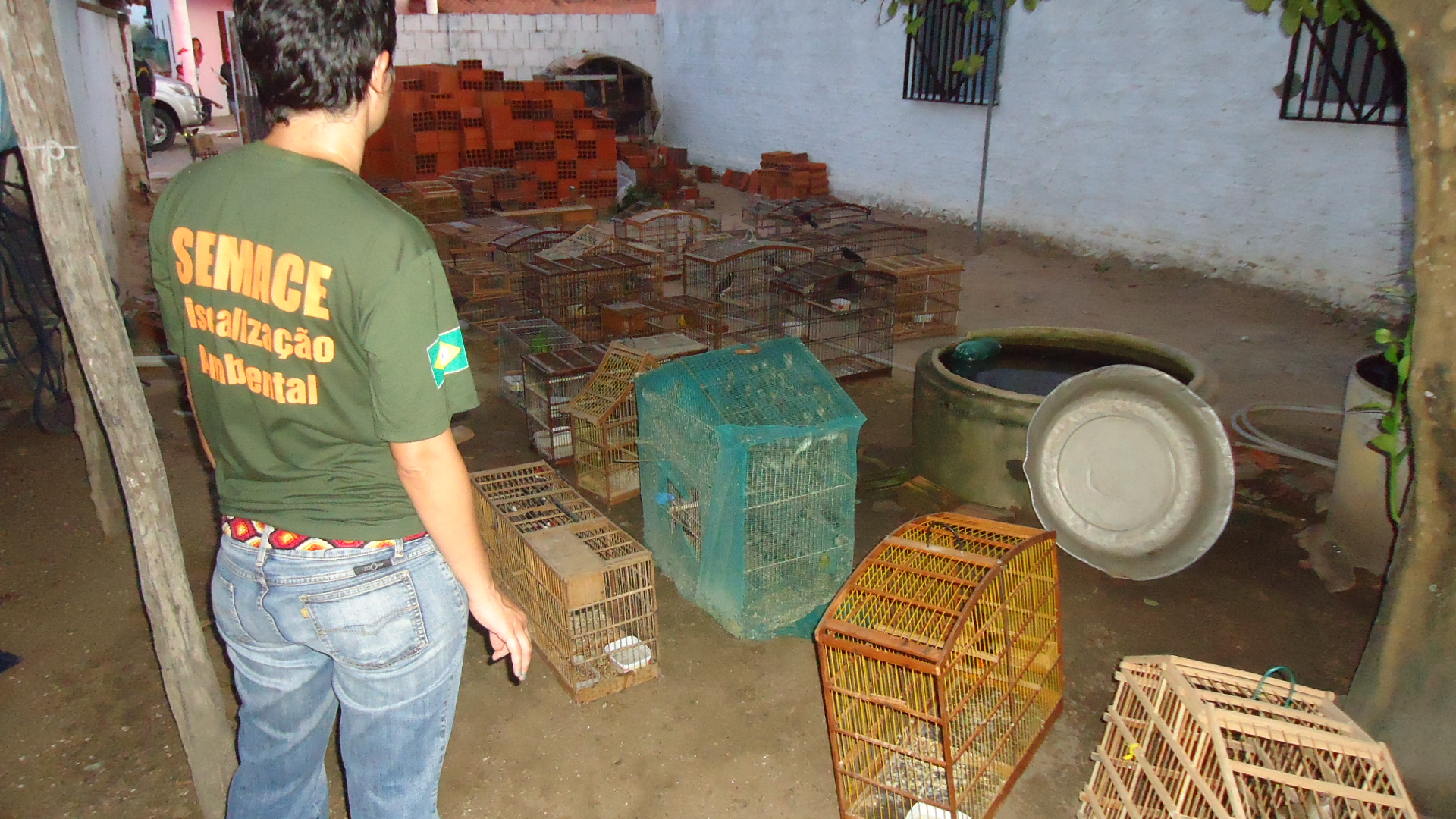 Fiscalização: Semace registra recorde de multas ambientais durante a pandemia
