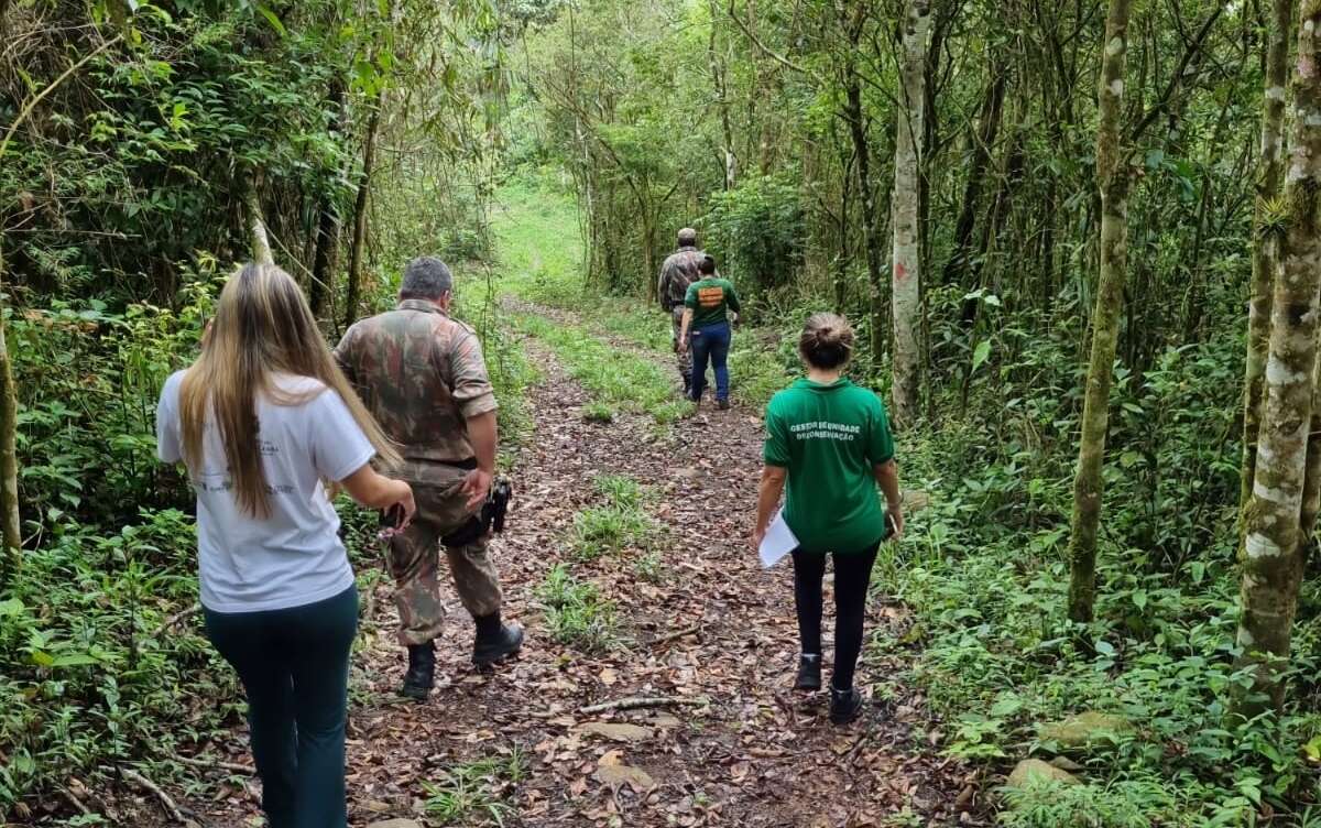 Nature - E seus Atributos