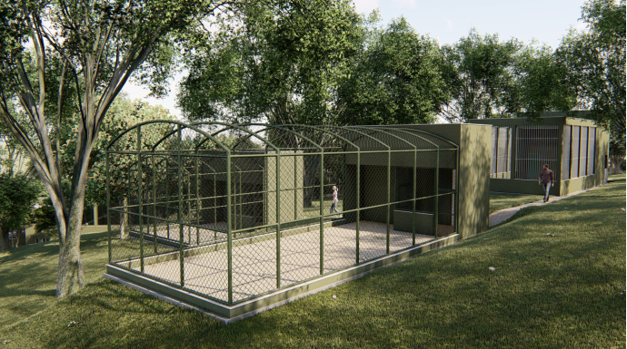 Guará - Ave símbolo do Delta