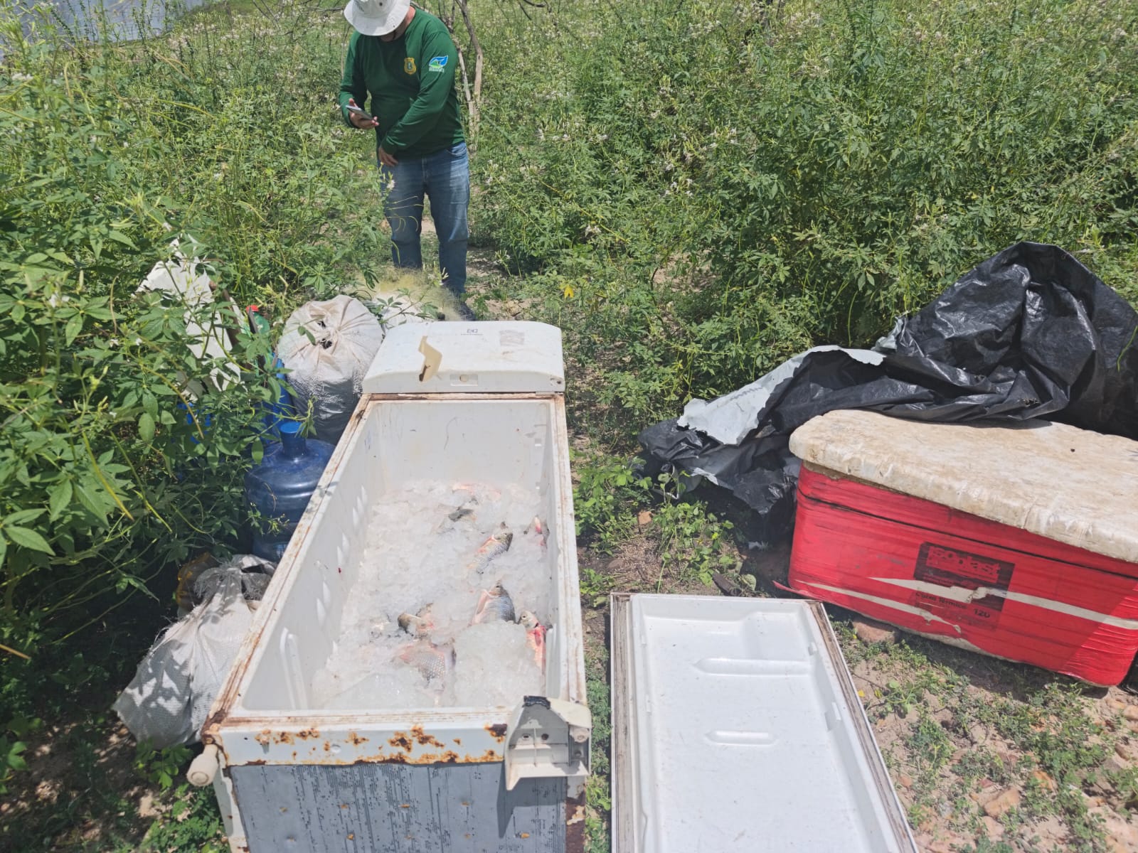 Semace apreende cerca de 40 kg de peixes nativos durante fiscalização no Rio Banabuiú