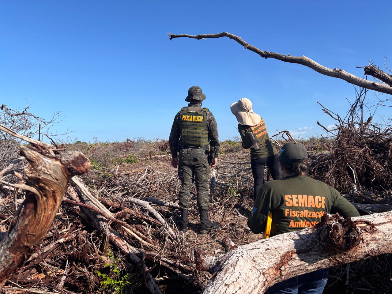 Operação do MP, em parceria com Ibama, Semace e SSPDS, embarga quase 2 mil hectares de área desmatada ilegalmente no Ceará