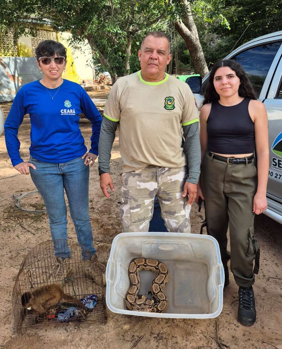 No Cariri, Semace acolhe animais silvestres resgatados em Pernambuco